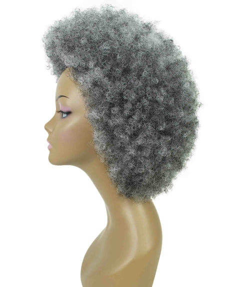 Audre Ash Gray Afro Half Wig