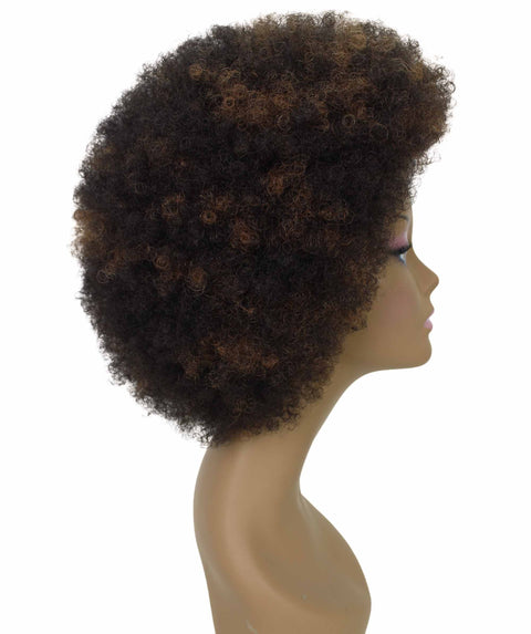 Audre Dark Brown Blend Afro Half Wig