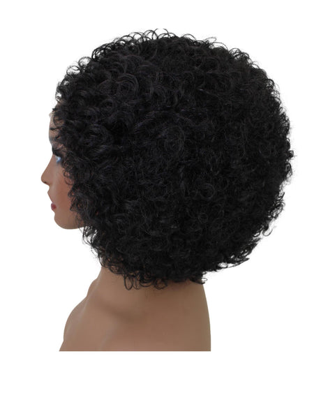 Naomi Black Afro Lace Wig