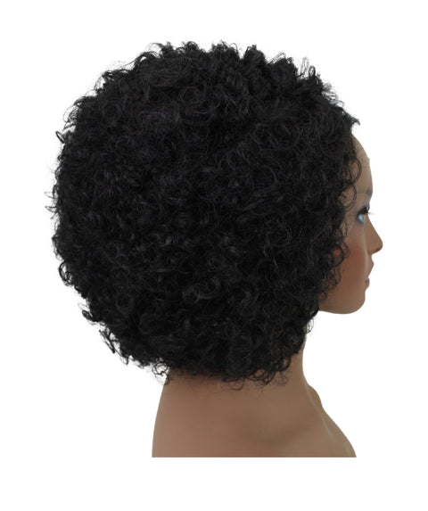 Naomi Black Afro Lace Wig