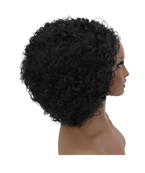 Naomi Natural Black Afro Lace Wig